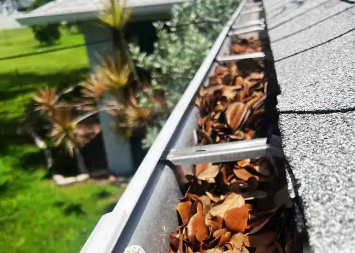 Guyton gutter cleaning home page